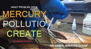 Mercury Pollution: A Global Health Crisis