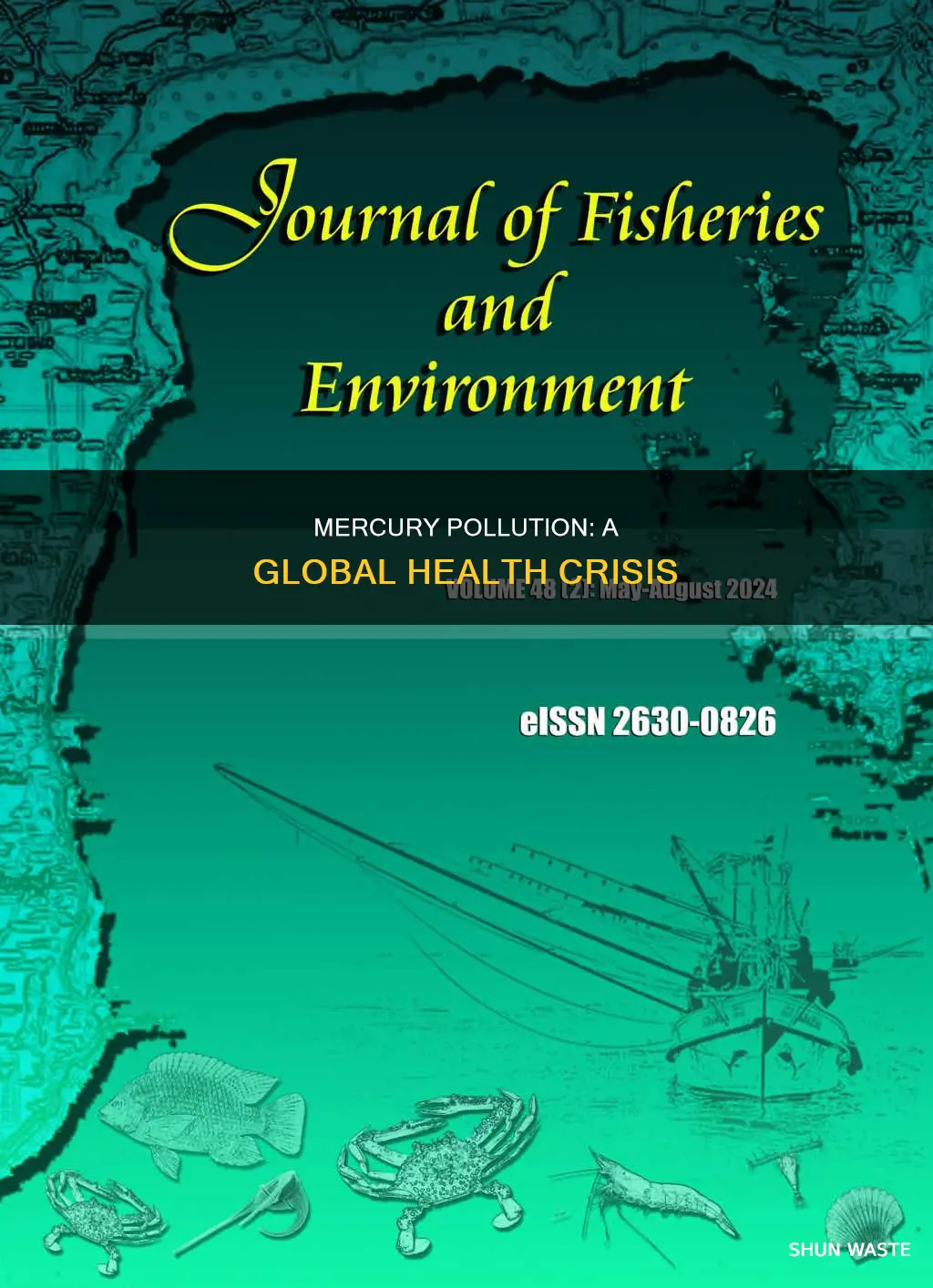 what problem does mercury pollution create