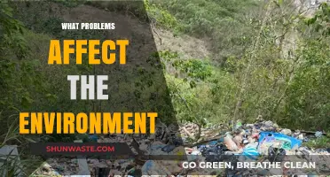 Environmental Challenges: Key Issues Threatening Our Planet's Health and Future