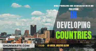 Developing Nations: Battling Air Pollution's Effects