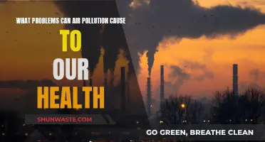Air Pollution: Harmful Effects on Our Health