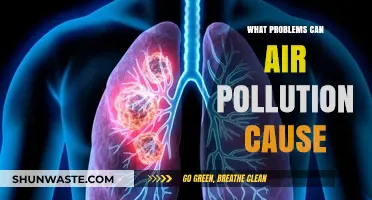 Air Pollution's Impact: Unveiling Hidden Health Hazards