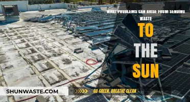 Solar Waste Disposal: Unforeseen Consequences of a Celestial Solution