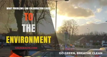Chlorination's Environmental Impact: Uncovering Hidden Ecological and Health Risks