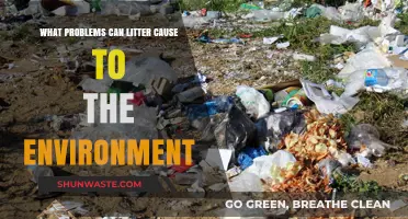 Litter's Devastating Impact: Environmental Problems Caused by Careless Waste