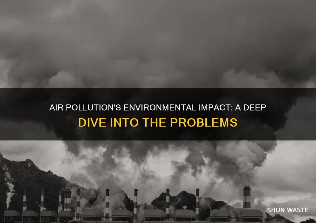 what problems does air pollution cause for the environment