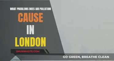 Air Pollution: London's Silent Killer