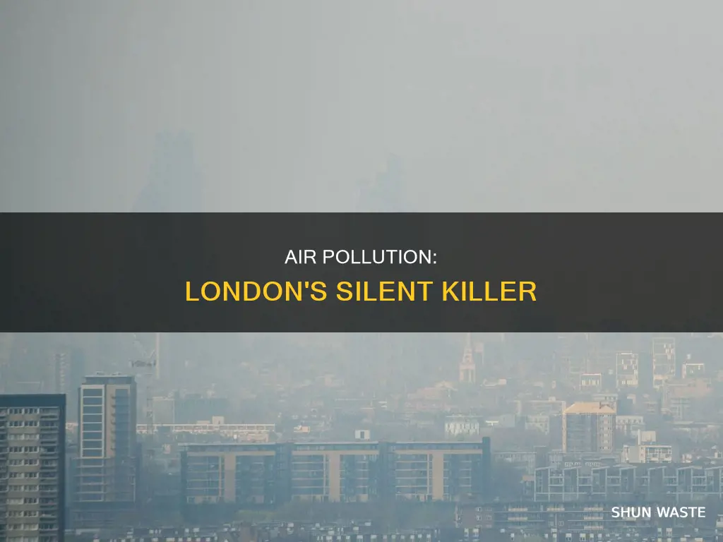 what problems does air pollution cause in london