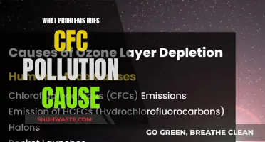 CFC Pollution: Unveiling the Hidden Environmental Hazards