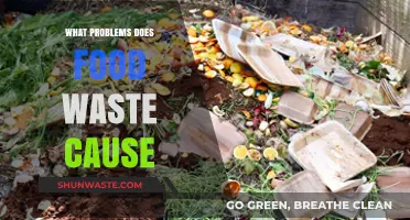 The Hidden Costs of Food Waste: Environmental and Social Impacts