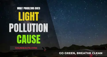 The Dark Side of Light: Unveiling the Impact of Light Pollution