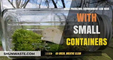 Small Containers, Big Issues: Environmental Challenges in Compact Spaces