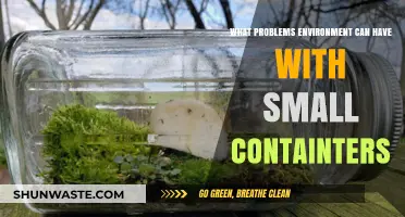 Environmental Challenges in Small Containers: Issues and Solutions