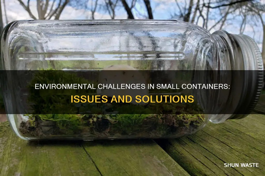 what problems environment can have with small containters