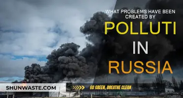 Russia's Pollution Crisis: Problems and Solutions