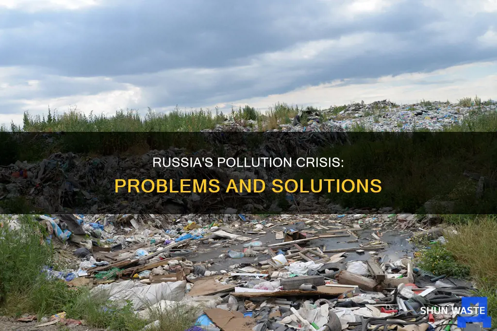 what problems have been created by pollution in russia