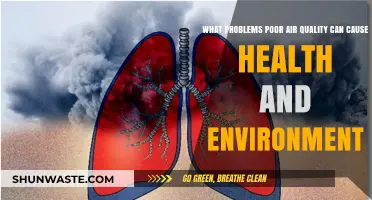 Breathing Danger: Health and Environmental Impacts of Poor Air Quality