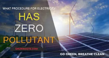 The Cleanest Power: Pollution-Free Electricity Procedure