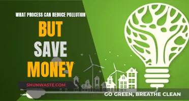 Green Strategies: Cost-Effective Pollution Reduction