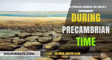 Precambrian Revolution: Key Processes That Transformed Earth's Early Environment