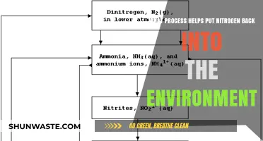 Nitrogen Cycle: Nature's Process for Restoring Environmental Balance