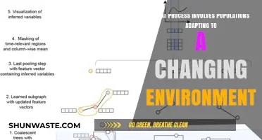 How Populations Adapt to Environmental Changes: Understanding Evolutionary Processes