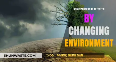 How Changing Environments Impact Biological and Ecological Processes