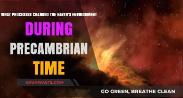 Precambrian Transformations: Key Processes That Shaped Earth's Early Environment