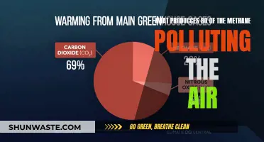 Cows and Climate Change: Methane's Main Culprit