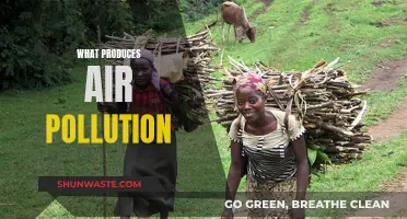 Sources of Air Pollution: What's Polluting Our Air?