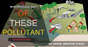 Sources of Air Pollutants: Understanding Their Origins