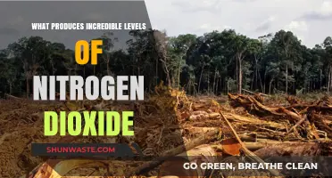How Nitrogen Dioxide is Produced and its Sources