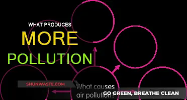 Transportation or Industry: Which Pollutes More?