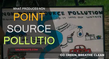Understanding Non-Point Source Pollution: Diverse Origins, Unified Impact