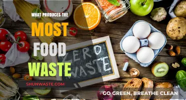 Uncovering the Hidden Culprits Behind Excessive Food Waste