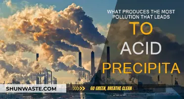 Human Activities Causing Acid Rain