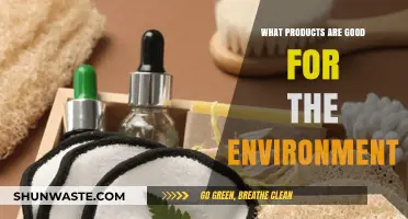 Eco-Friendly Essentials: Sustainable Products for a Greener Lifestyle