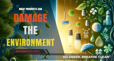 Eco-Unfriendly Products: How Everyday Items Harm Our Environment
