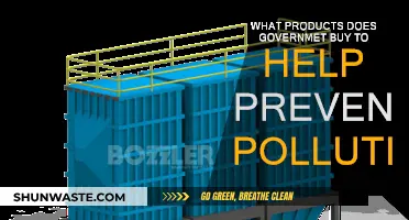 Green Solutions: Government Purchases to Prevent Pollution
