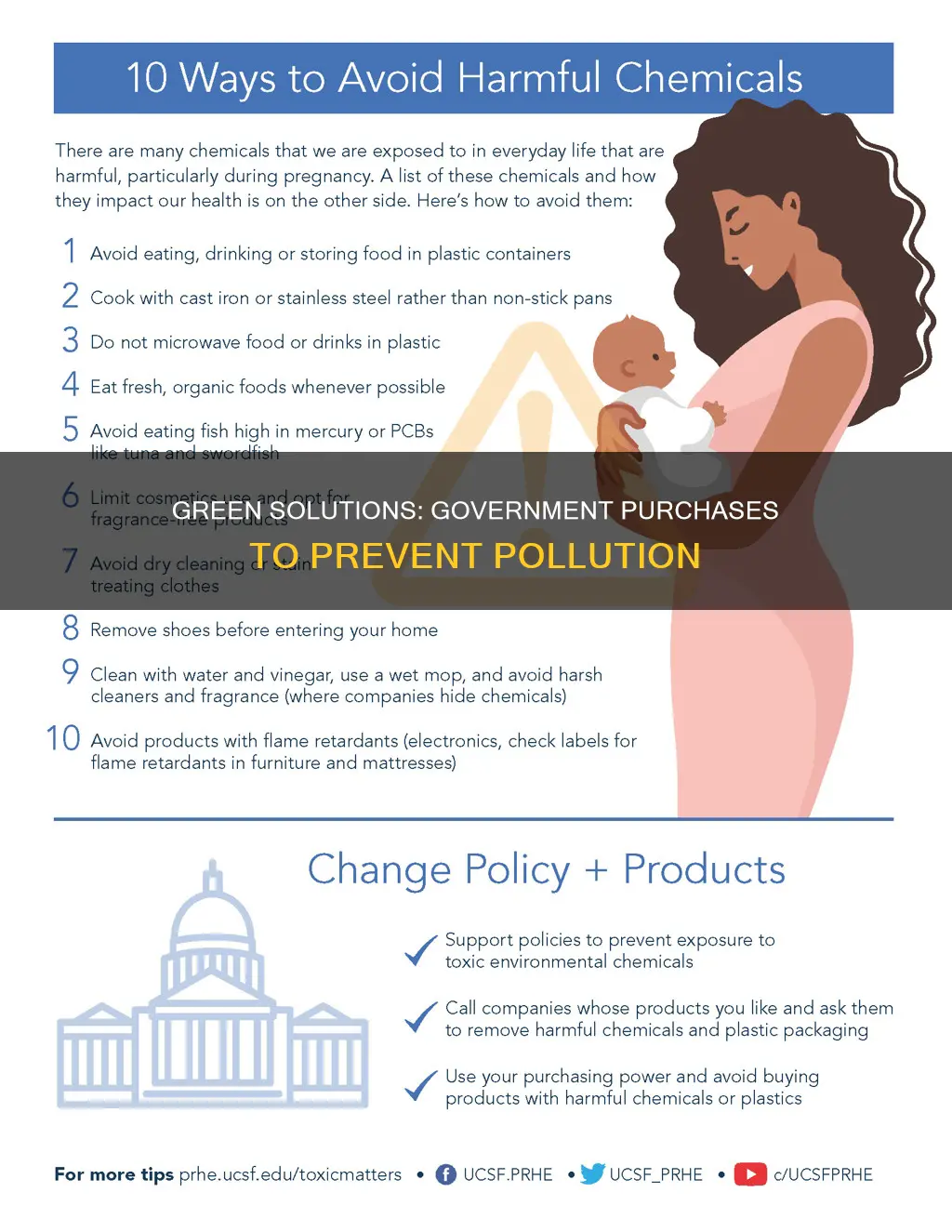 what products does governmet buy to help prevent pollution