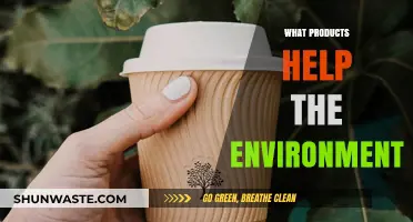 Eco-Friendly Essentials: Sustainable Products to Protect Our Planet