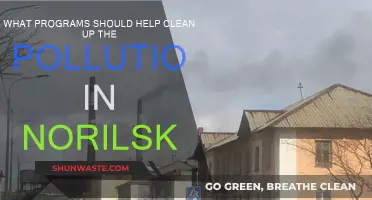 Clean Up Norilsk: Programs for Pollution Reduction