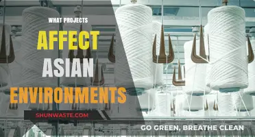 Asian Environmental Impact: Key Projects Shaping the Region's Ecosystems