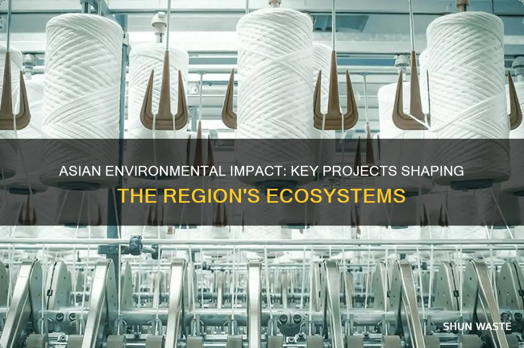 what projects affect asian environments