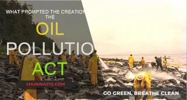 Understanding the Oil Pollution Act's Origins