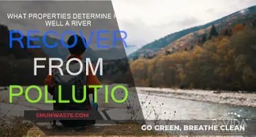 River Resilience: Factors Influencing Recovery from Pollution