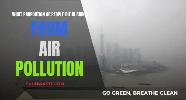 Air Pollution: China's Deadly Silent Killer