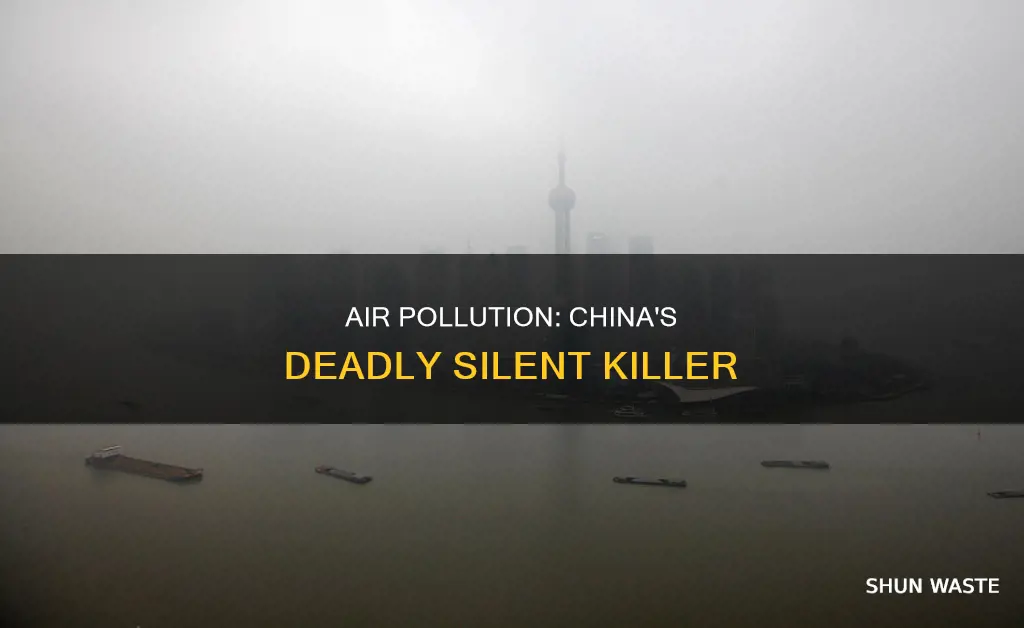 what proportion of people die in china from air pollution