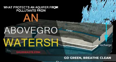 Protecting Aquifers: Preventing Watershed Pollution