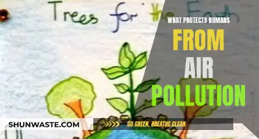 Protecting Ourselves: Air Pollution and Human Health